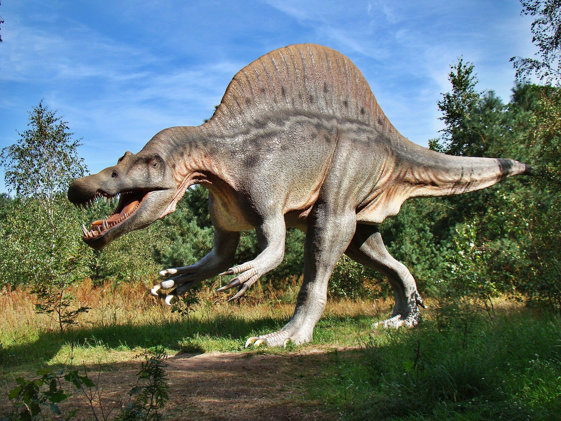 HUNEBEDRANGER: Dino #39 s
