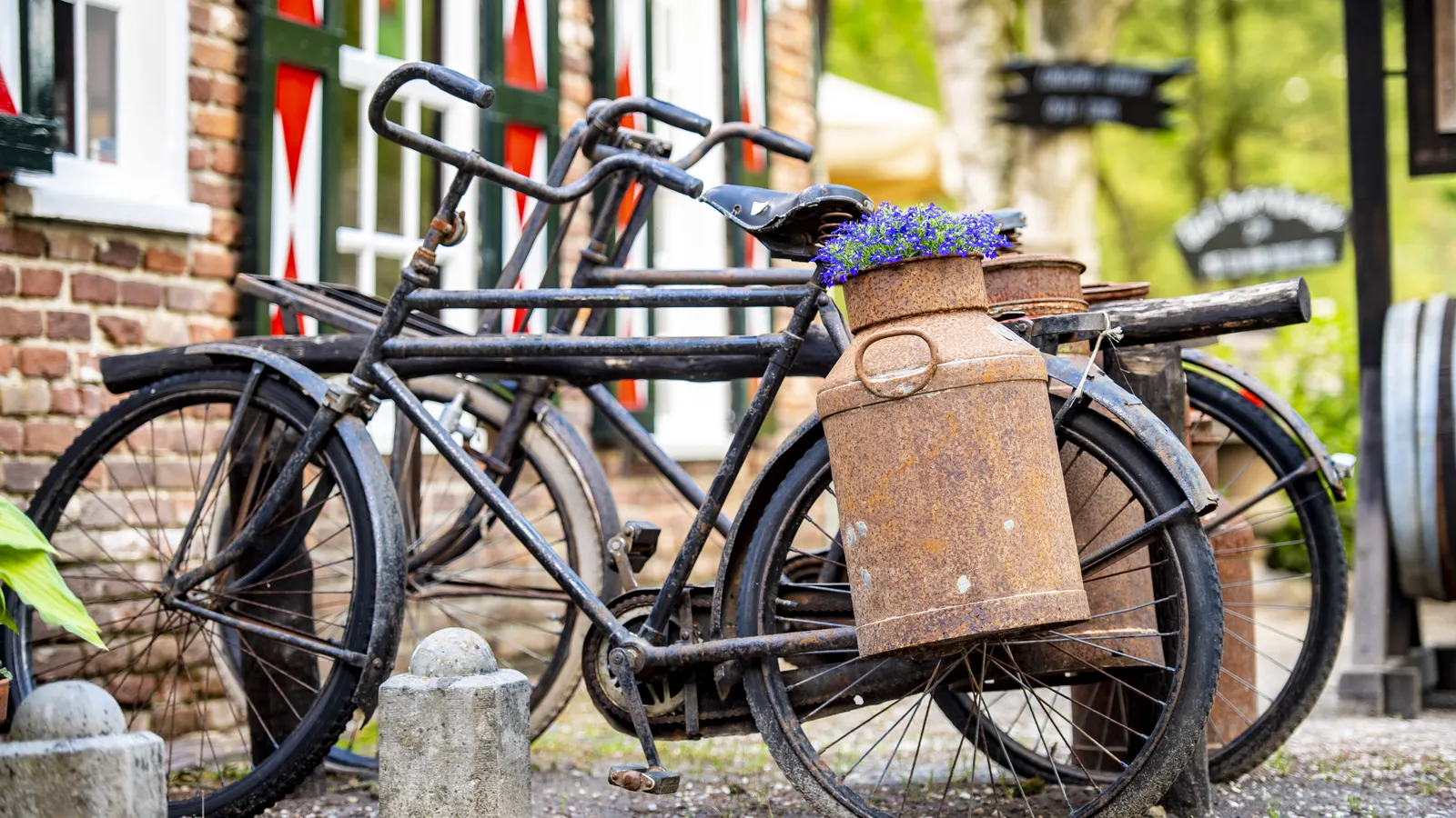 Ellert en Brammert-6.jpg