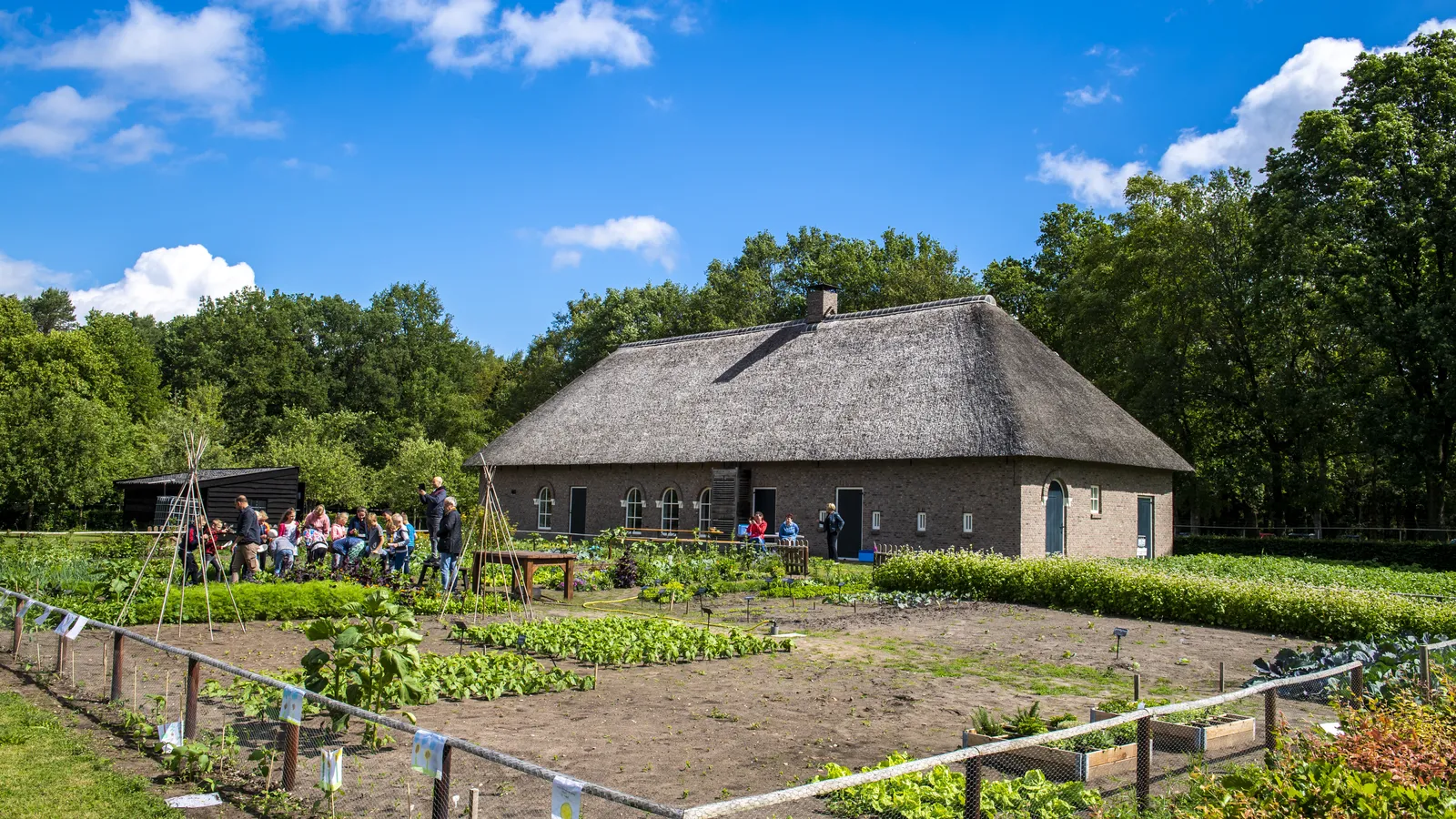 Ellert en Brammert-5.jpg