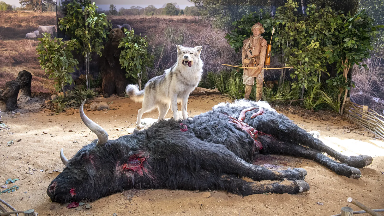 Hunebedcentrum Borger-2.jpg