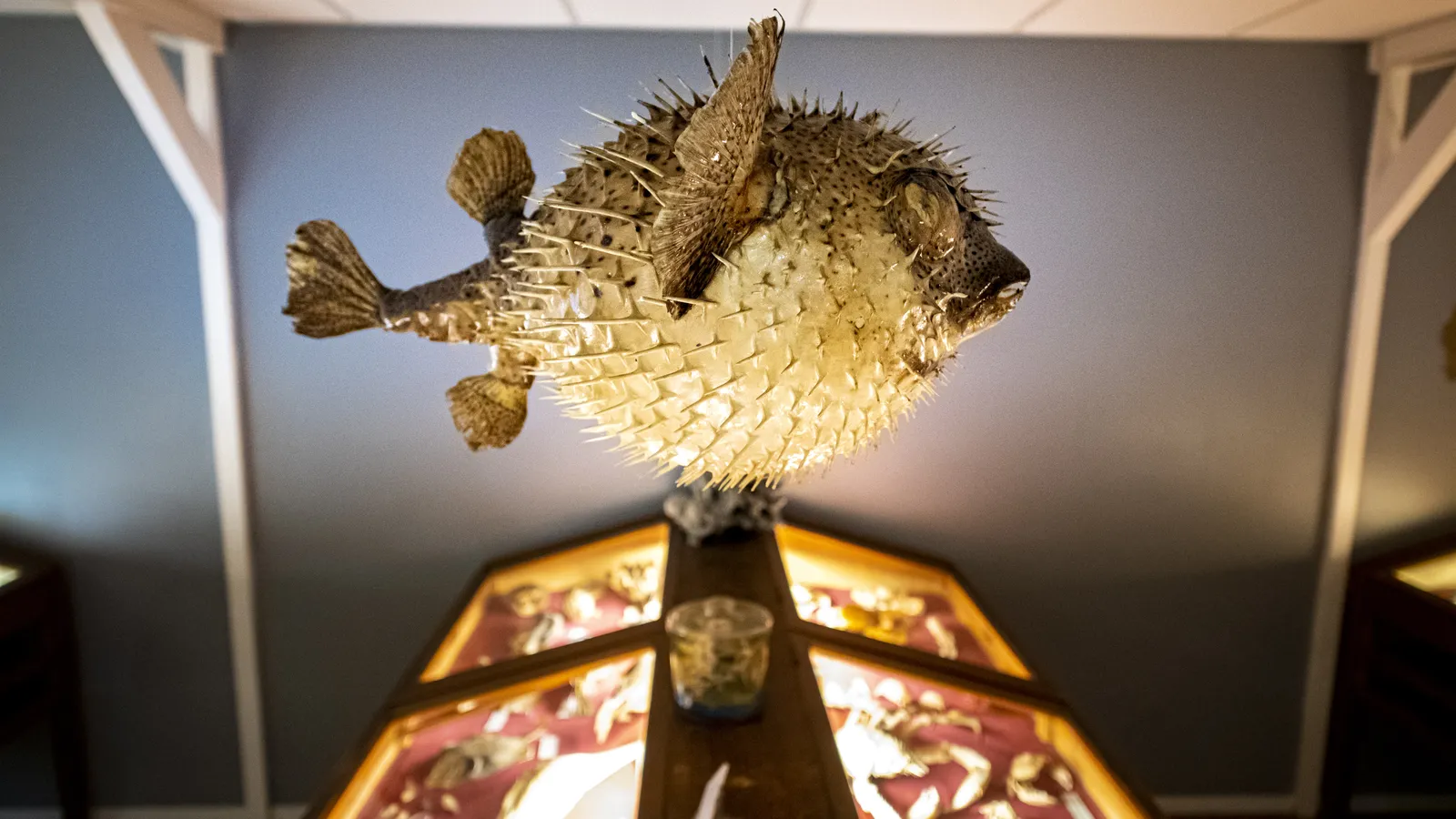 Miramar Zeemuseum-7.jpg