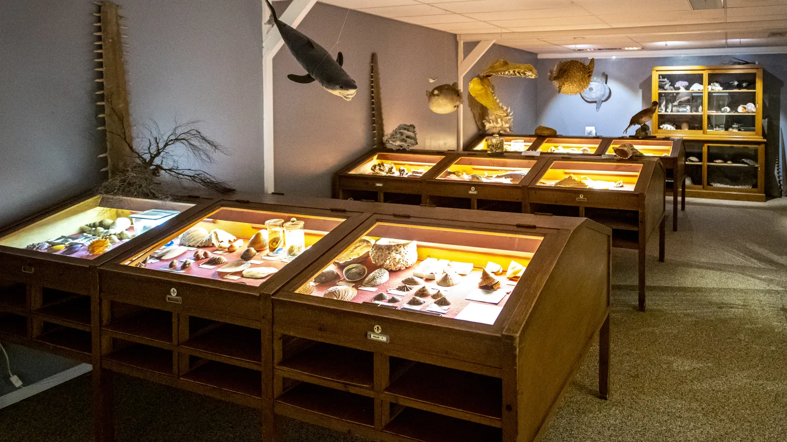 Miramar Zeemuseum-6.jpg