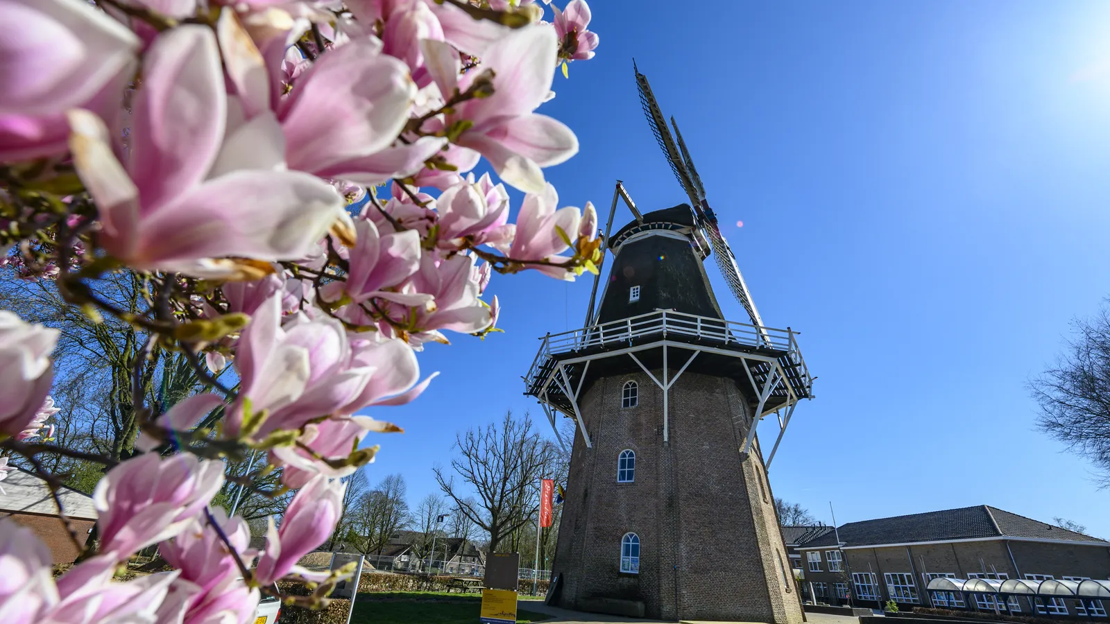 Museummolen Jan Pol-5.jpg