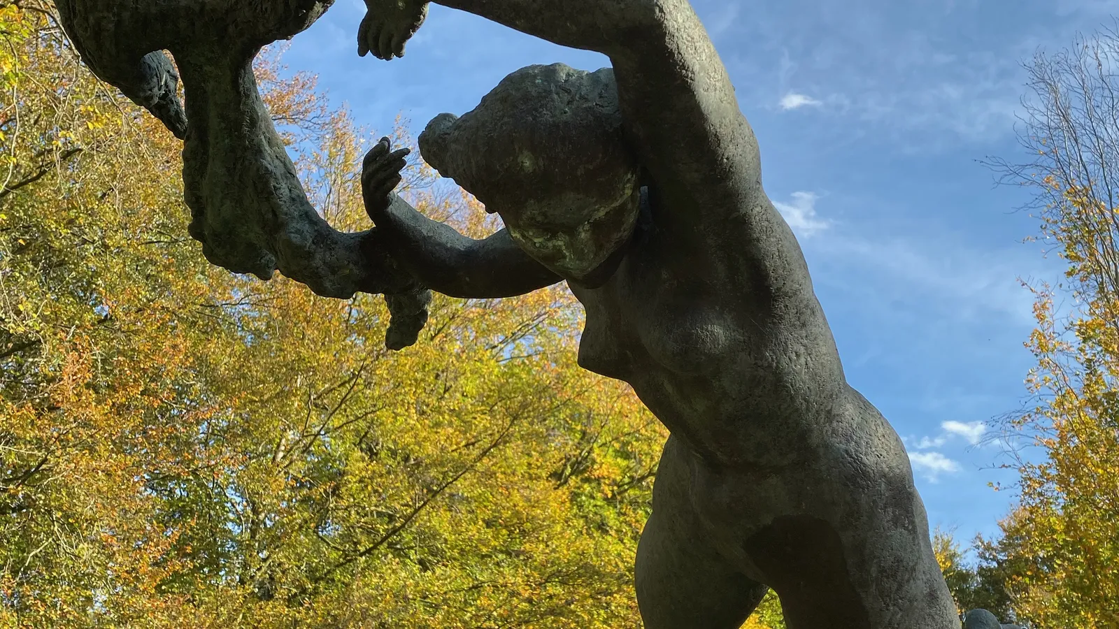 cover in beeld IMG_6695 2 kopie.jpeg